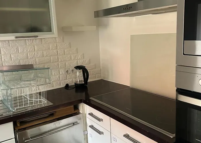 3 Bedrooms Furnished Frankfurt Apartmán Mühlheim